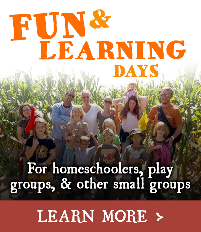 Fun & Learning Days for Small Groups